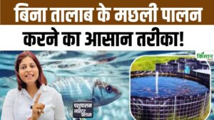धान के खेत में करें मछली पालन, सही तकनीक से होगा लाखों में मुनाफा