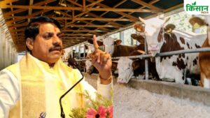 गोवर्धन पूजा पर नई पहल, कामधेनु योजना से गोपालकों को मिलेगा 10 लाख रुपये का अनुदान गोवर्धन पूजा पर नई पहल, कामधेनु योजना से गोपालकों को मिलेगा 10 लाख रुपये का अनुदान