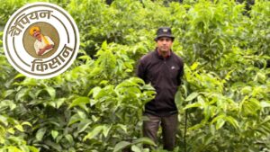 सेना की नौकरी के बाद शुरू की अखरोट की खेती, अब जम्मू के सुनील सालाना कमा रहे 20 लाख रुपये