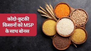 श्रीअन्न फसल कोदो-कुटकी किसानों को बड़ी राहत, सरकार ने बिक्री रजिस्ट्रेशन की तारीख बढ़ाई