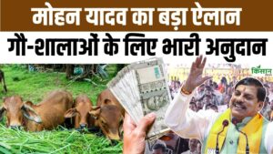गोवर्धन पूजा पर सीएम मोहन यादव का बड़ा ऐलान, गौशाला को मिलने वाली सब्सिडी में बढ़ोतरी