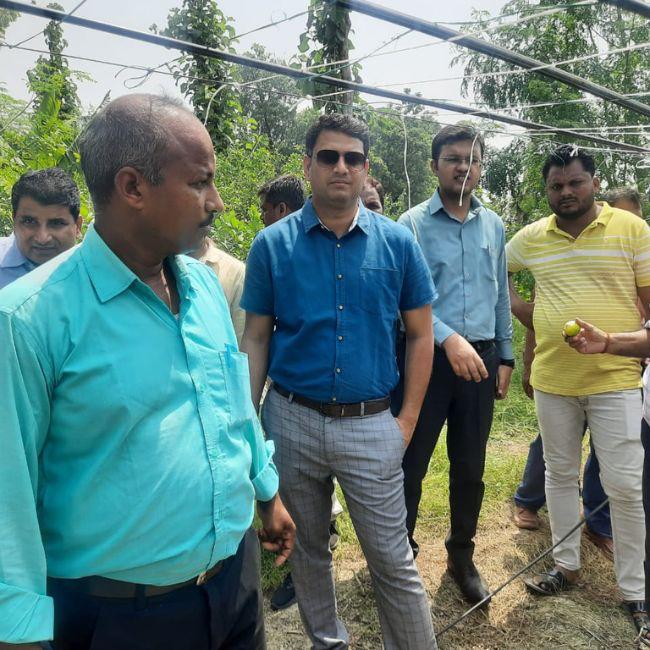 Gonda Farmer