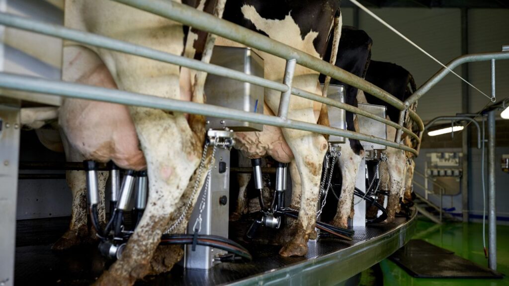 Milking Machine