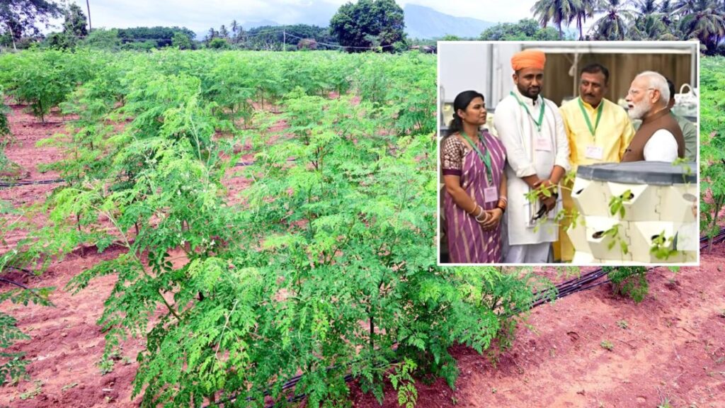Moringa Farmers dr Kamini Singh,