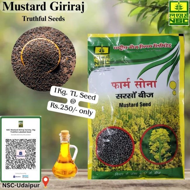 National Seed Corporation