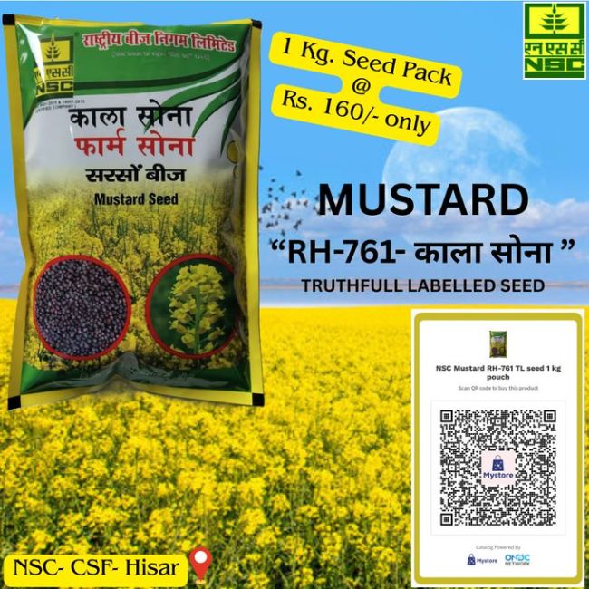 National Seeds Corporation