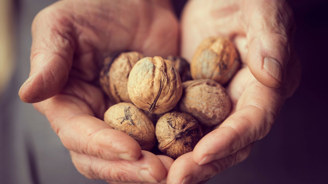 How To Identify Real And Fake Walnuts In Winter Benefits Of Walnut Asli Akhrot Ki Pehchan