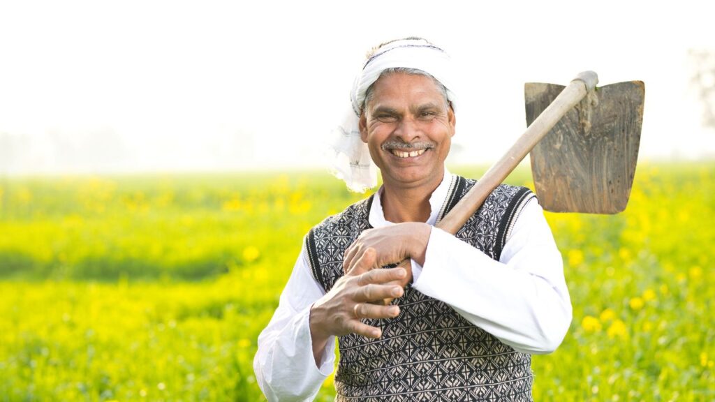 PM Kisan 2025 Payment: जो किसान खेती योग्य जमीन की गलत जानकारी देते हैं या गैर-कृषि भूमि को योजना में शामिल कर देते हैं, उनके नाम लिस्ट से हटा दिए गए हैं. गलती सुधारने पर इन्हें भविष्य में योजना का लाभ दोबारा मिल सकता है.