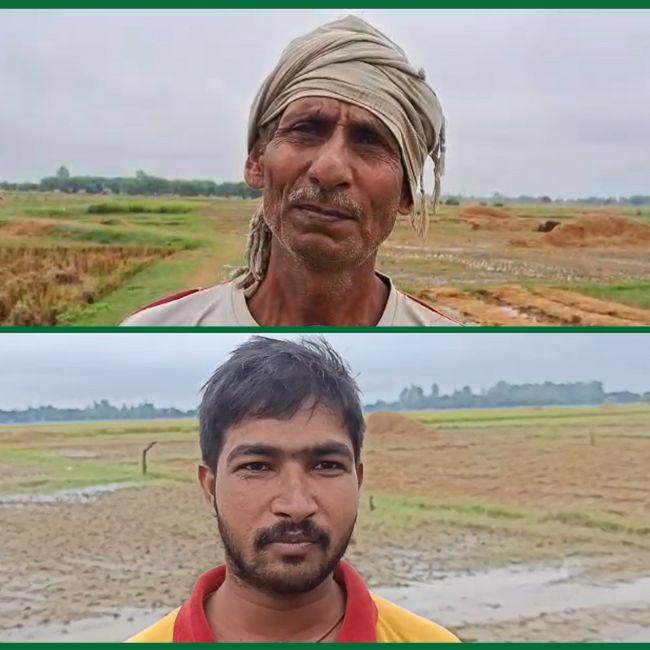 Paddy farmers uttar pradesh