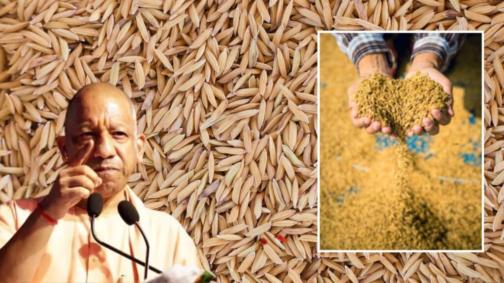 Paddy purchase in UP