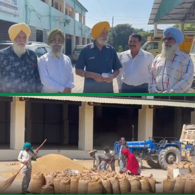 Paddy purchase in himachal
