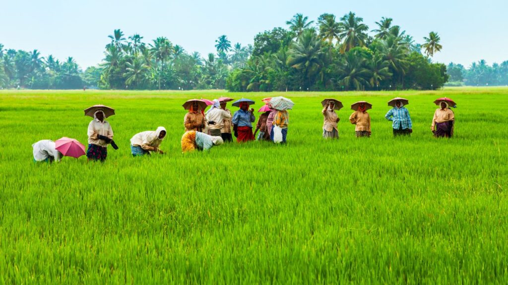 Punjab farmers