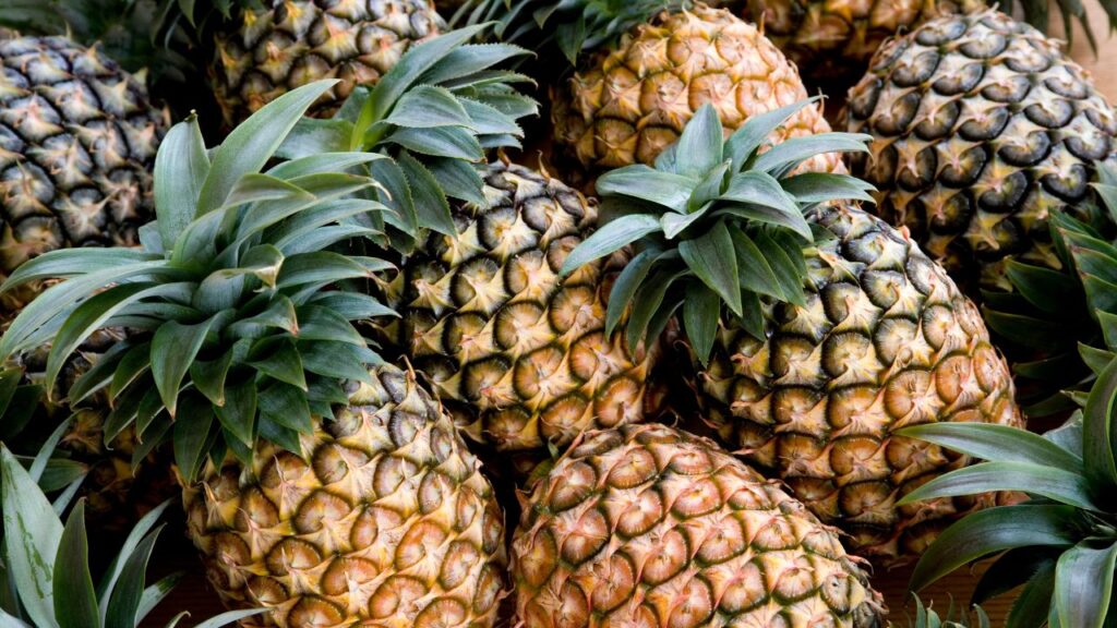 Pineapple Production