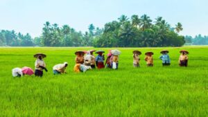 60 फीसदी छोटे किसानों तक नहीं पहुंच पा रही वित्तीय मदद, पैसा हासिल करना बन रहा चुनौती