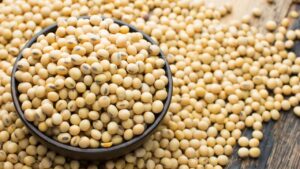 MP कैबिनेट का बड़ा फैसला, भावांतर योजना के तहत होगी सोयाबीन की खरीद.. 4.5 लाख पेंशनर्स को दिवाली गिफ्ट