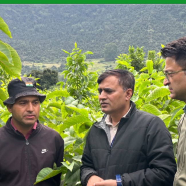 Jammu News