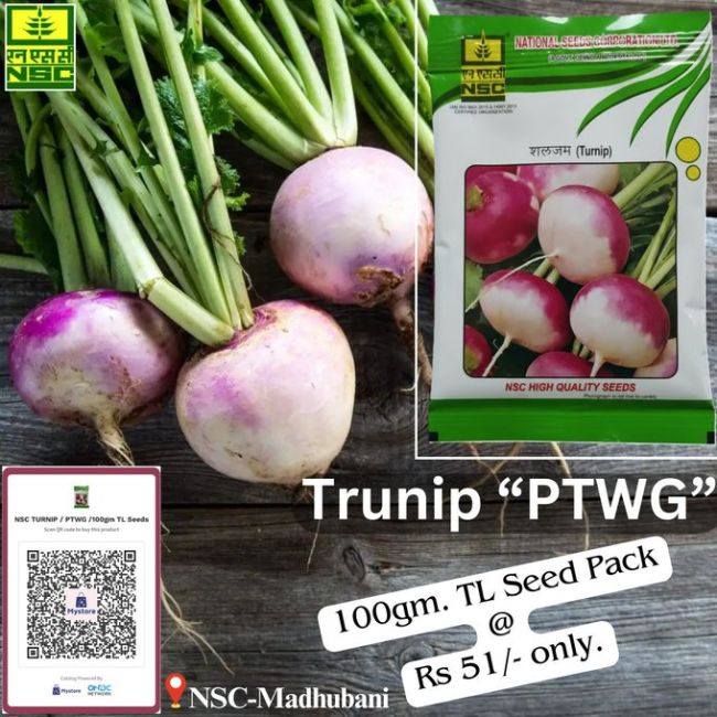 National Seed Corporation