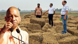यूपी में शुरू हुई अनोखी स्कीम, पराली के बदले किसानों को मिलेगी गोबर खाद, बस करना होगा ये काम