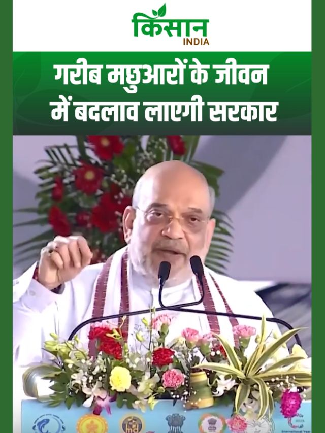 केंद्रीय गृह मंत्री अमित का ऐलान, गरीब मछुआरों के जीवन में बदलाव लाएगी केंद्र सरकार