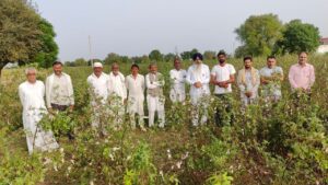 फसलों में कीटों से बचे तो नकली उत्पादों की चपेट में आए किसान, अब बारिश ने मेहनत पर पानी फेरा फसलों में कीटों से बचे तो नकली उत्पादों की चपेट में आए किसान, अब बारिश ने मेहनत पर पानी फेरा