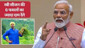 गेहूं-सरसों, चना समेत 6 फसलों का MSP बढ़ाने की घोषणा, 297 लाख मीट्रिक टन उत्पादन का अनुमान