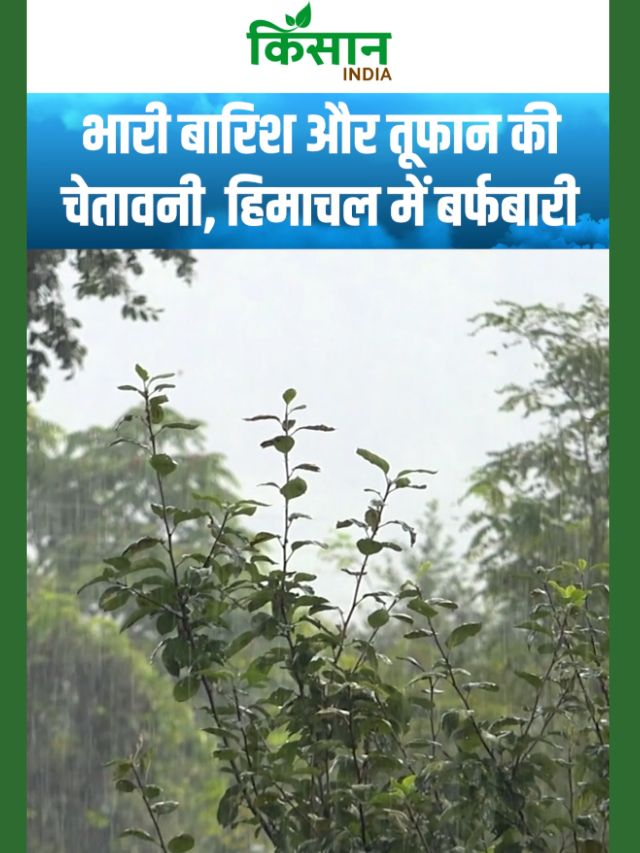 Cyclone Montha: 31 अक्टूबर से होगी तापमान में भारी गिरावट, इन राज्यों में बारिश का Alert जारी