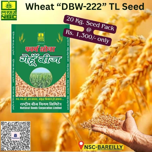 National Seed Corporation