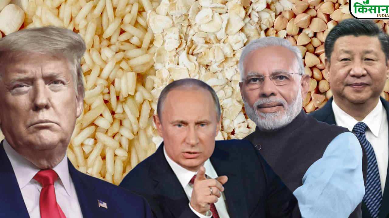अमेरिका की नीति से नाराज BRICS देश, अब बनाएंगे खुद का ग्रेन एक्सचेंज, भारत को होगा बड़ा फायदा Brics Grain Exchange To Counter Us Cme Russia Brazil Food Security Reserve Initiative Set To Benefit India And Reduce Global Dependence
