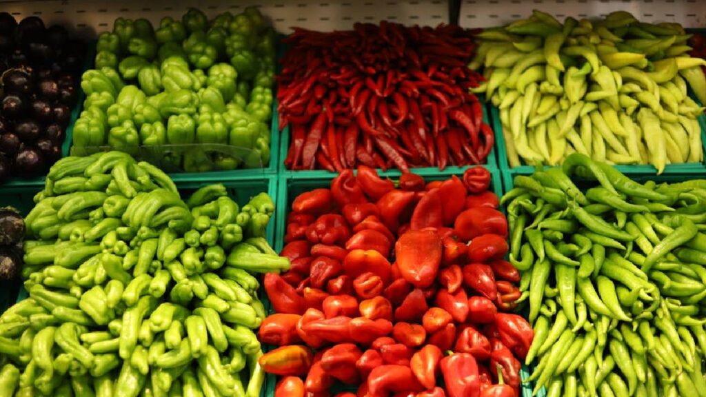 Best Soil and Growing Tips for Different Types of Chili: Maximize Yield and Health Benefits