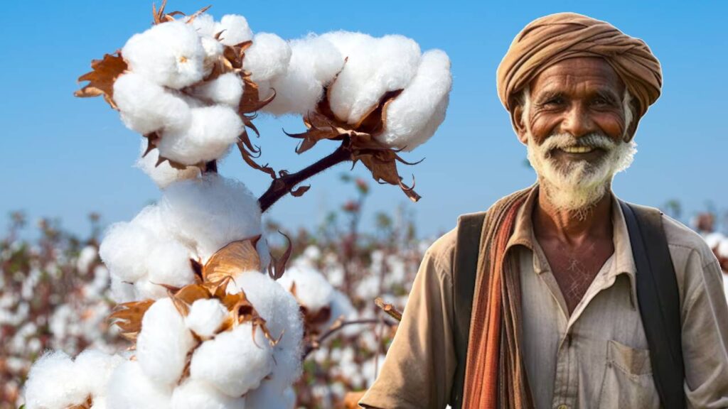 Telangana Cotton Farmers Hope for Better Prices Despite Import Duty Exemption