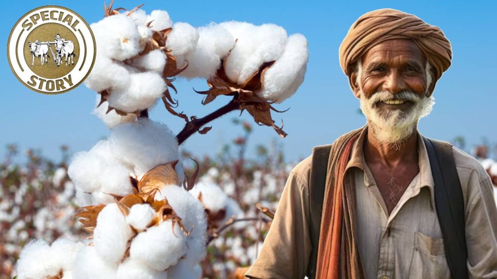 India’s 8,000-year-old cotton legacy — from ancient civilizations and luxurious muslin to the freedom movement’s khadi revolution.