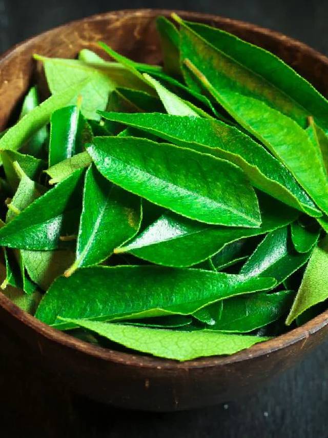 बाल और स्किन के लिए वरदान हैं ये पत्ते! जानें फायदे