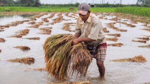 धनतेरस पर बाढ़ प्रभावित किसानों को बड़ी राहत, सरकार ने मंजूर की 3258 करोड़ की फसल मुआवजा राशि