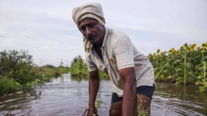 महाराष्ट्र सरकार ने बढ़ाई राहत सीमा, अब 3 हेक्टेयर तक किसानों को मिलेगा मुआवजा