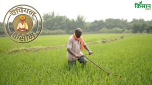 छत्तीसगढ़ के किसान रामरतन ने अपनाई ग्रिड पद्धति, रिकॉर्ड पैदावार से किसानों के लिए बने मिसाल