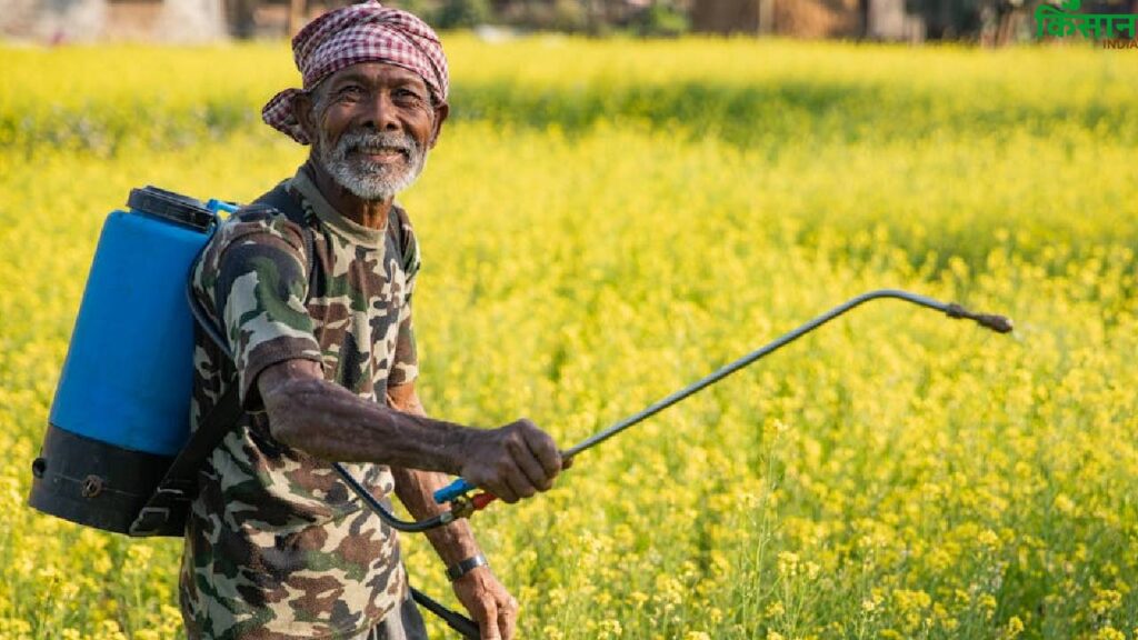 Proper Chemical Spraying in Farming: Experts Warn Farmers to Follow Correct Methods for Best Results