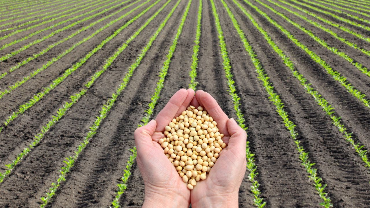 किसानों को नेचुरल फार्मिंग की ट्रेनिंग दे रही योगी सरकार, मिट्टी-पर्यावरण रहेंगे स्वस्थ Yogi Adityanath Big Suggestion Natural Farming True National Service Both Soil And Farmers Remain Healthy