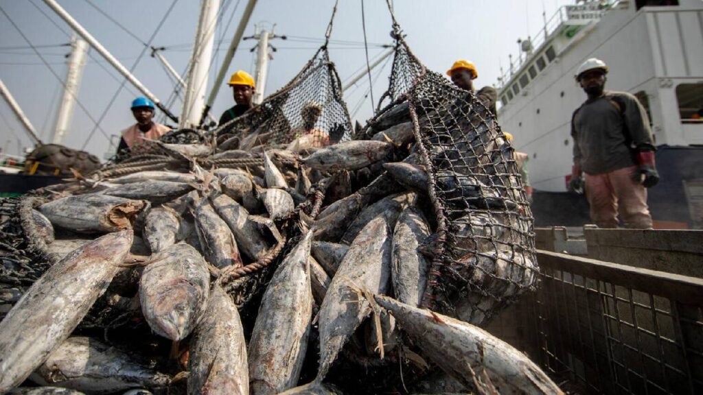 India’s Deep-Sea Fisheries: NITI Aayog Report and Plans for Growth