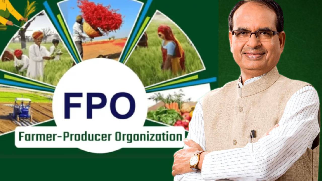 National Fpo Conclave 2025 500 Farmers 267 Fpos Showcase Products Agriculture Experts Delhi Event To Boost Rural Economy And Market Linkages