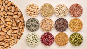 10 लाख किसानों को मुफ्त बीज देगी योगी सरकार, रबी सीजन के लिए यूपी में भरपूर खाद स्टॉक