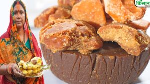 छठ पूजा के मौके पर जानें, असली और नकली गुड़ की पहचान कैसे करें?