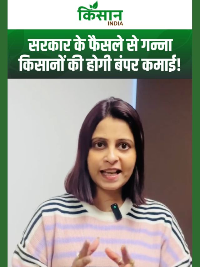 UP में गन्ने की कीमतों में हुआ बदलाव, Yogi सरकार ने कब-कब और कितनी बढ़ाई कीमत?