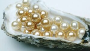 मोती असली है या नकली? घर बैठे ऐसे करें पहचान, जानें 5 आसान टेस्ट