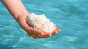 समुद्र का पानी क्यों होता है इतना खारा? जानिए रोचक तथ्य जो शायद आप नहीं जानते