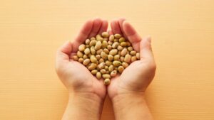 सोयाबीन सिर्फ फसल नहीं सेहत का है खजाना, कैंसर जैसी बीमारियों में भी देता है बड़ा फायदा, जानें कैसे
