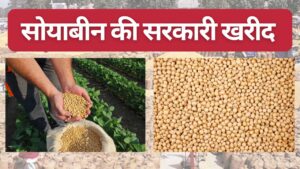 सोयाबीन की सरकारी खरीद शुरू.. मंडी में फसल लेकर जुटे किसान, भावांतर योजना के लिए कंट्रोल रूम बना