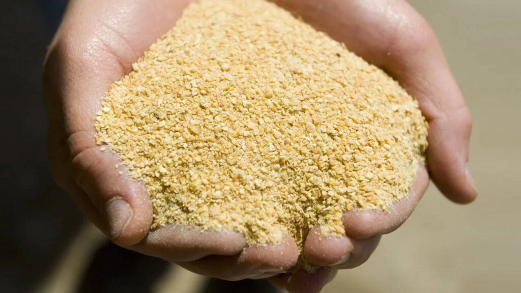 India’s Oilmeal Exports Remain Steady in H1 2025-26, September Sees 40% Surge
