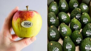 क्या आप जानते हैं फलों और सब्जियों पर लगे स्टिकर का असली मतलब?