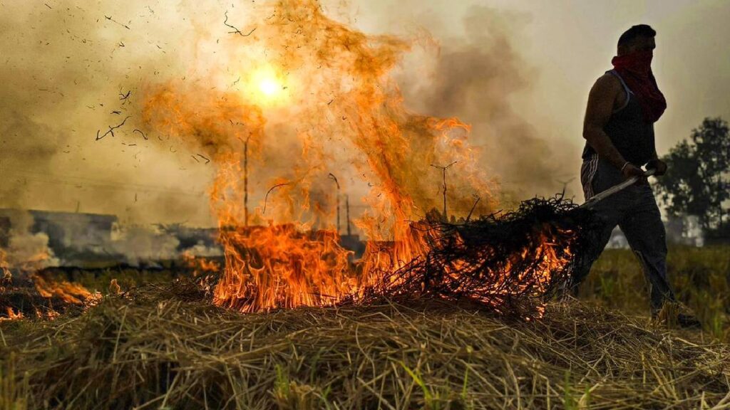 Punjab Faces Record Surge in Stubble Burning During Diwali, Delhi-NCR Air Quality Plummets as Farmers Continue Crop Residue Fires