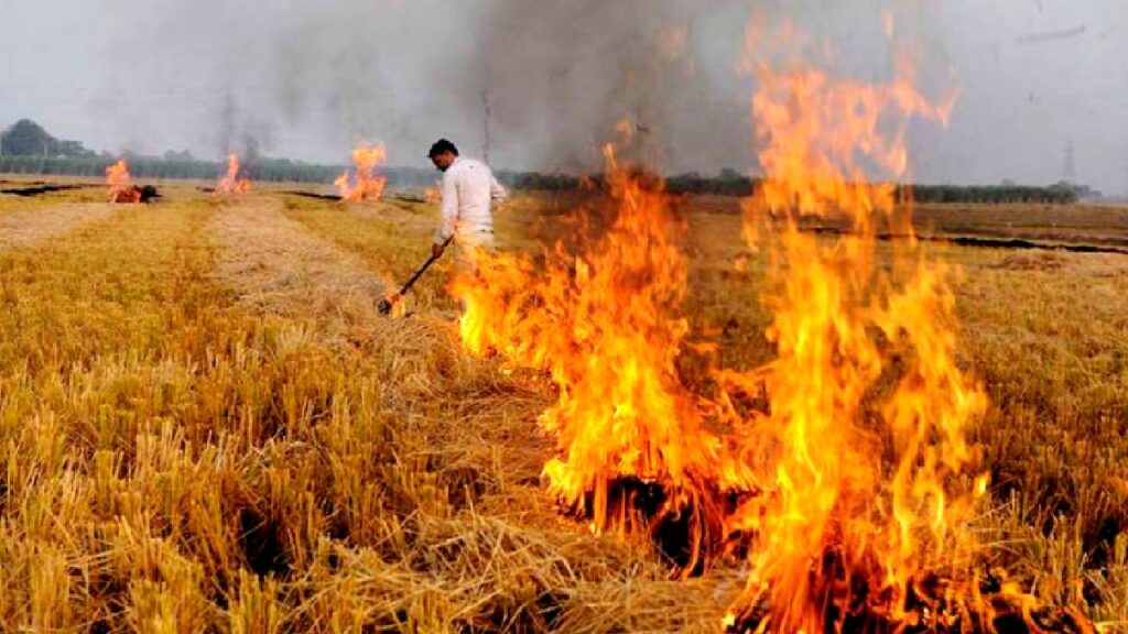 Stubble Burning cases in Madhy Pradesh